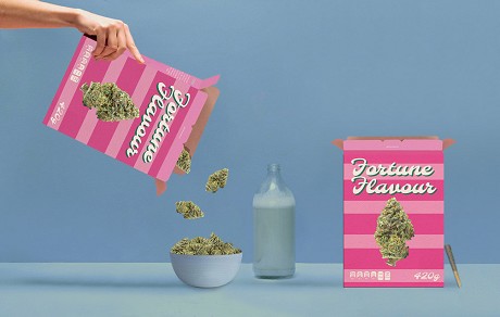 Fortune Flavours: Product image 1